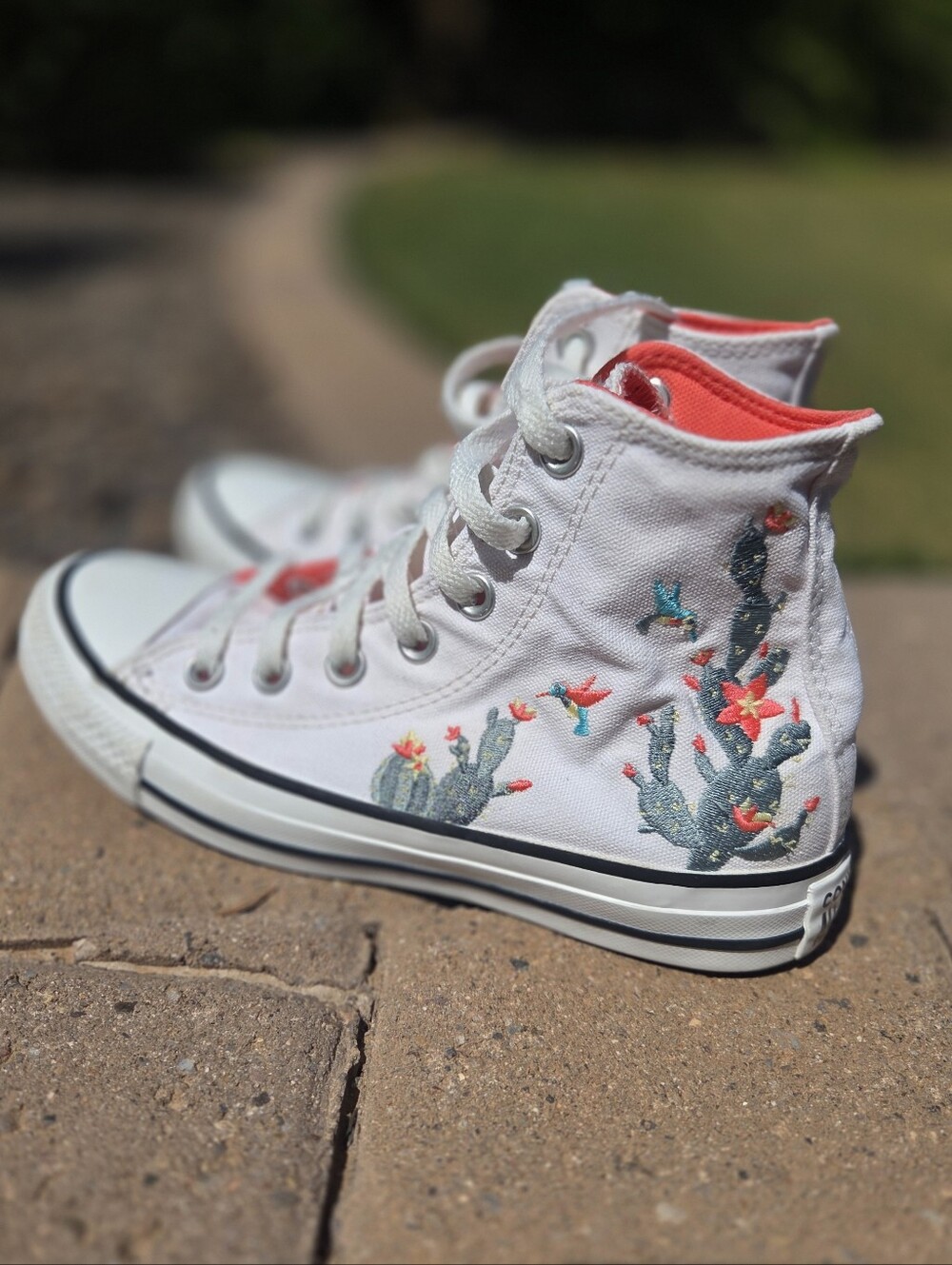 Converse Chuck Taylor All Stay White High-Top Sneakers with Succulet Embroidery